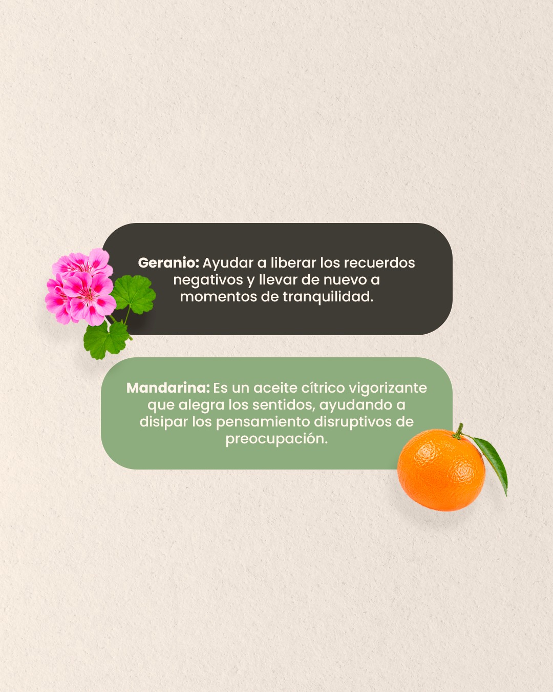 Aceites esenciales - Geranio y Mandarina