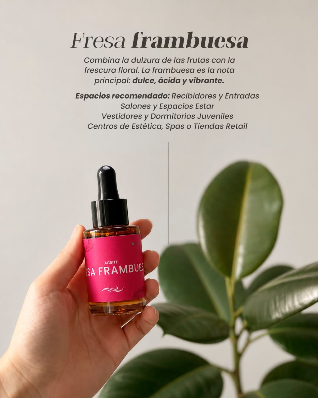 Arhoma recomienda