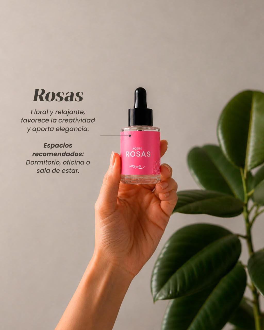 Arhoma recomienda